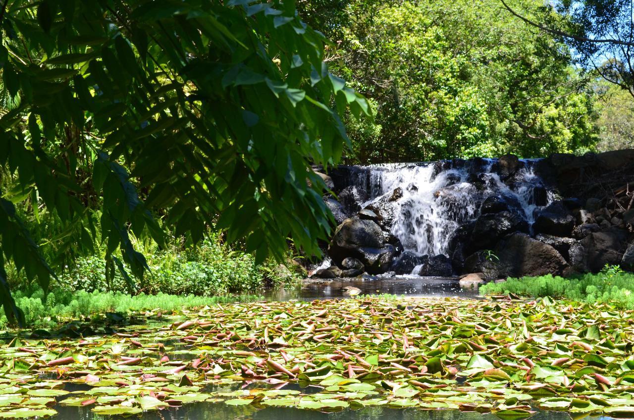 Kondalilla Eco Resort Montville Exterior foto